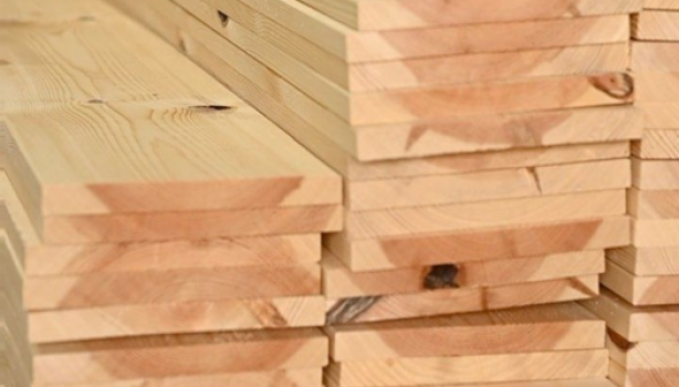 redcedar1
